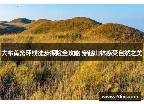 大布蕉窝环线徒步探险全攻略 穿越山林感受自然之美
