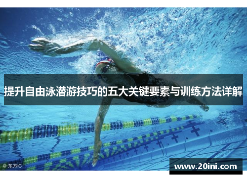 提升自由泳潜游技巧的五大关键要素与训练方法详解