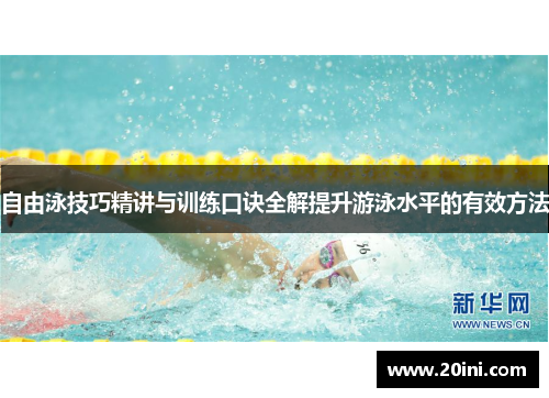 自由泳技巧精讲与训练口诀全解提升游泳水平的有效方法
