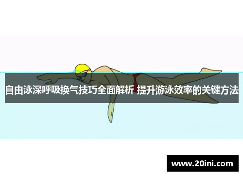 自由泳深呼吸换气技巧全面解析 提升游泳效率的关键方法
