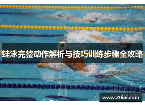蛙泳完整动作解析与技巧训练步骤全攻略