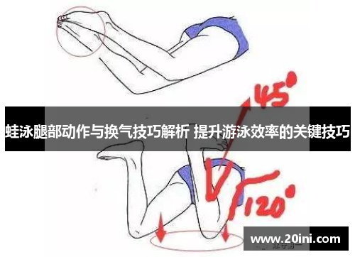 蛙泳腿部动作与换气技巧解析 提升游泳效率的关键技巧