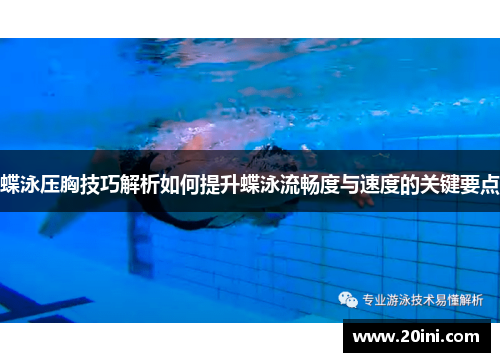 蝶泳压胸技巧解析如何提升蝶泳流畅度与速度的关键要点