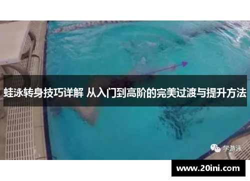 蛙泳转身技巧详解 从入门到高阶的完美过渡与提升方法