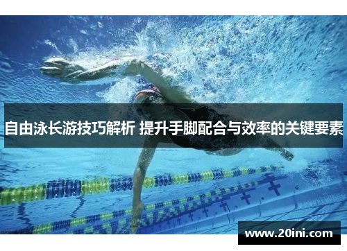 自由泳长游技巧解析 提升手脚配合与效率的关键要素